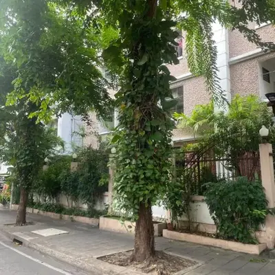 Viriyapon
