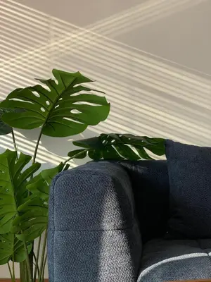 a blue couch and a green plant next to a wall at AndStay in Bangkok