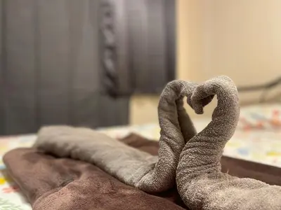 a pair of snakes forming a heart on a bed at Rhythm of life guesthouse 56 in Bangkok