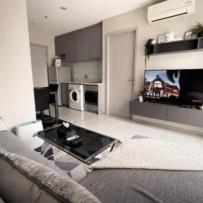 Luxurious Downtown condo w/train access