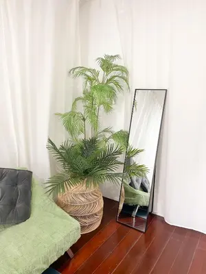 a mirror and a plant in a living room at 4BR entire house next to Skytrain BTS and Subway MRT Chatuchak in Bang O