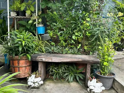 a wooden bench in a garden with plants at Baanfahsai in Makkasan