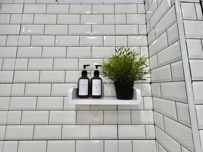 a shelf with two bottles of wine and a plant at Sabay Home in Bangkok