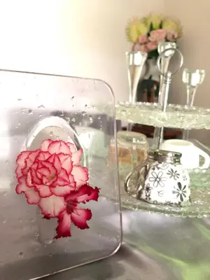 a pink flower in a glass container on a table at Silver Room Guest House Very Close Bangkok Hospital in Bangkok