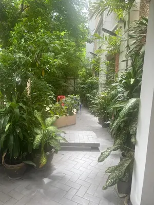 a courtyard filled with lots of plants in a building at Viriyapon first floor2 in Bangkok