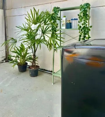 two potted plants are sitting next to a wall at Flow In House in Bangkok