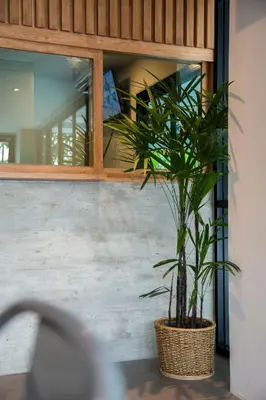a plant in a basket in front of a window at Parrish Serviced Apartment in Bang Mote