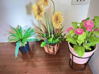 three potted plants sitting on a wooden table at 5BR House BTSNana Nanaplaza City center MBK Center world in Bangkok