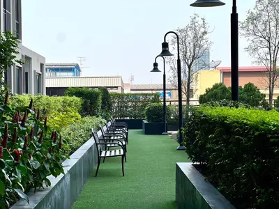 a row of benches sitting on a green lawn at monthly and Annual condo in Bangkok