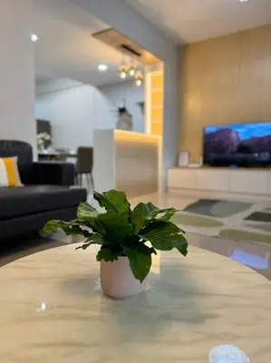 a plant sitting on a table in a living room at MIQ HK256 5BR MRT Ratchada and HuaiKhwang in Bangkok