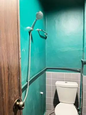 a green bathroom with a toilet and a shower at Megun capsule 150 cm in Bang O