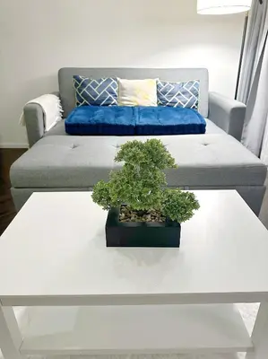 a bonsai tree on a white coffee table in a living room at Luxury loft with Stunning 35th Floor Views in Bangkok