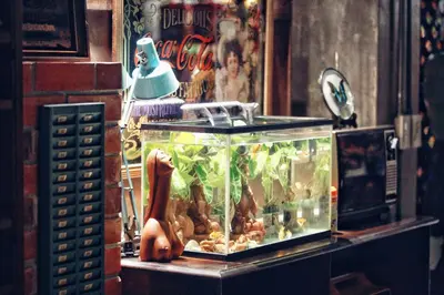 a fish tank with a statue of a person in it at Years 1981 in Bangkok