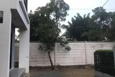 a small tree in front of a white fence at Baan Salaya in Salaya