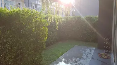 a view of a garden with the sun shining on the bushes at Nido house in Ban Bang Phang