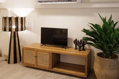 a tv on a wooden stand with a potted plant at baan nuit Bangkok Stayhouse in Bangkok