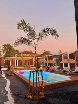 a palm tree sitting next to a swimming pool at D Glamor Hotel Phutthamonthon Sai 1 ,Southern Bus Terminal, Bangkok in Bangkok