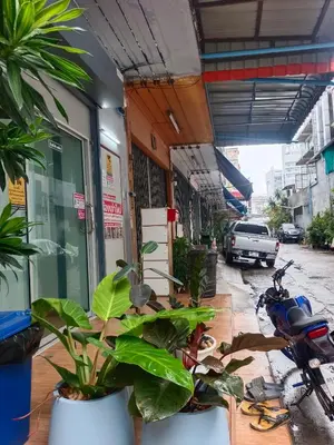 a group of plants sitting outside of a building at The little home in Bangkok