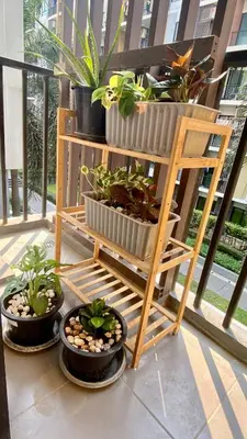 three potted plants on a wooden shelf on a balcony at Cozy Entire Apartment place in Ban Khlong Samrong