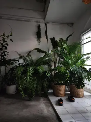 a room with a bunch of plants in baskets at Creative Bangkok twin bed in Sathani Bang Khen