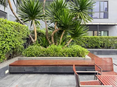 a bench and two chairs in a courtyard with palm trees at Transquil Modern 1BR - Ultra Fast WiFi - BTS Ari in Bangkok