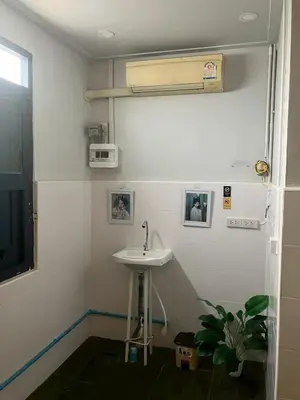 a bathroom with a sink and a potted plant at Cat in the box homestay in Godown