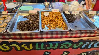 a table topped with trays of different types of insects at New room DMKairport,BTS, impact 340 in Ban Song Hong