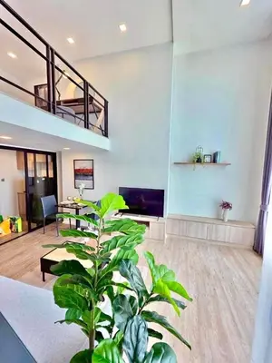 a living room with a plant in the middle of it at Modiz Modiza Sukhumvit R3 in Bangkok