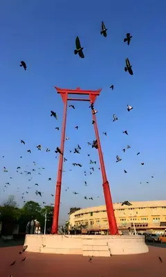 a flock of birds flying in the sky at XX Mitr inn Khaosan มิตร อินน์ ถนนข้าวสาร 2 in Bangkok