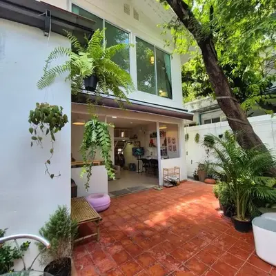 Cat House BKK
