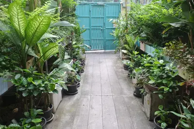 a greenhouse filled with lots of plants in pots at Eco House in Bangkok