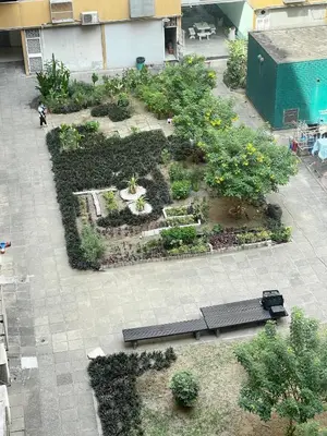 an overhead view of a garden with benches at Lazy Ma-fia C3 Andy in Ban Song Hong