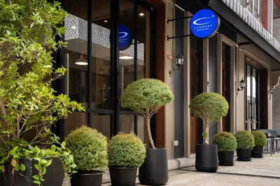 a row of potted trees in front of a store at Crownex Studio Deluxe in Bangkok