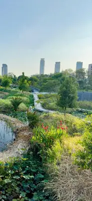 a garden with flowers and a path in a city at Omni Tower Sukhumvit Nana - Luxury Condominium in Bangkok