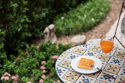 a plate of waffles and a glass of orange juice at Spacious CityCentre | 500 mbps, King-size, Balcony in Khlong Toei