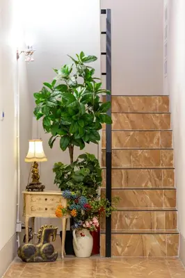 a staircase with two plants and a table with a lamp at Narada Residence in Pak Kret