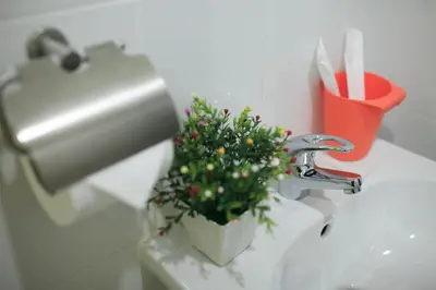 a plant sitting on a bathroom sink with a faucet at SU 22 in Bangkok