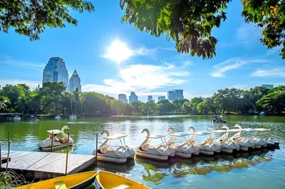 a group of swans in a lake in a city at XX GO INN Silom - BTS Surasak in Yan Nawa