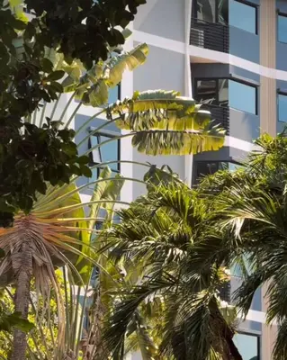 a group of palm trees in front of a tall building at The Akyra Bangkok 11 in Bangkok