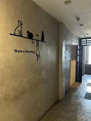 a wall with three cats sitting on a shelf at Lesbase Female 8-Bed Room in Bangkok
