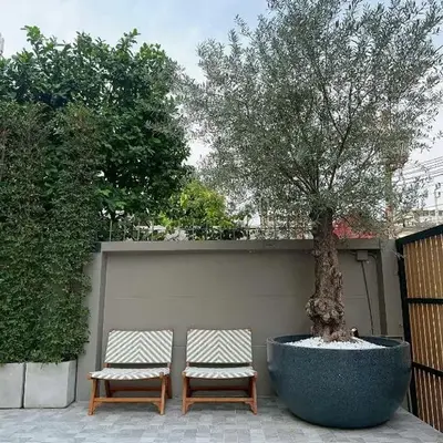 Wynora Hotel