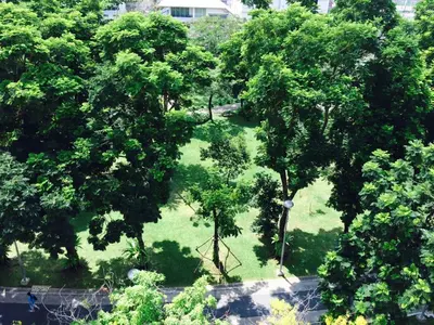 an overhead view of a park with trees and grass at Royal View Resort - Rang Nam in Bangkok