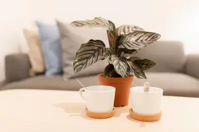 two coffee cups and a plant on a table at Hotel PaPa Bangkok Siriraj in Bangkok