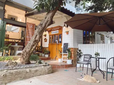a cat laying next to a table and an umbrella at Pillow & Bread Hostel in Bangkok