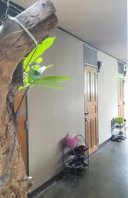 a room with a wall with a plant in it at Anurak Guesthouse in Bangkok