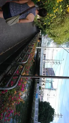 a reflection of flowers in a pool of water at SKB Mansion close to MRT in Hua mark in Bangkok