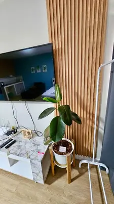 a potted plant sitting on a desk next to a computer at อิมแพ็ค เมืองทองธานี ห้องเช่ารายวัน เมืองทอง popular condo C5 in Ban Bang Phang