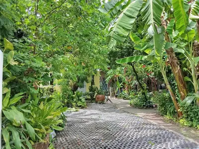 a garden path with a bunch of trees and plants at Young and Beautiful in Bangkok