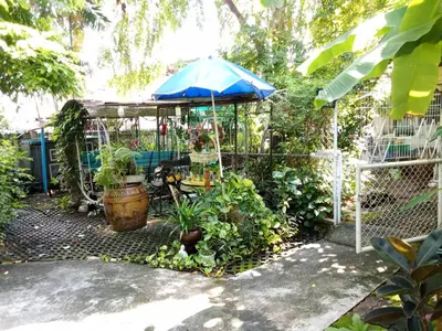 a garden with a blue umbrella and some plants at Young and Beautiful in Bangkok