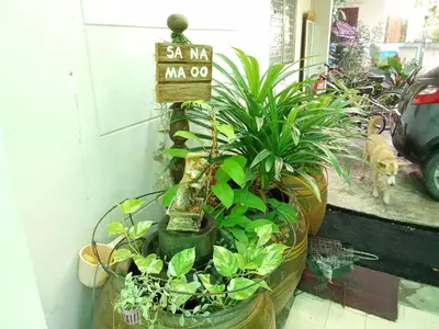 a bunch of plants in a pot with a sign at Young and Beautiful in Bangkok